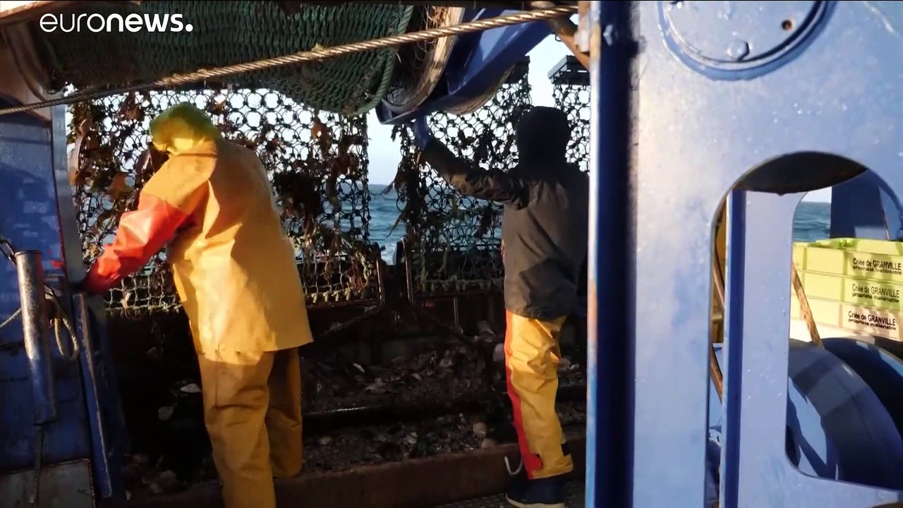 Streit um Fanggründe vor Jersey: Französische Fischer in Not