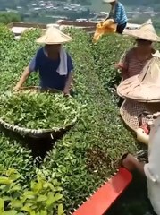 Miracles around us ❤_2