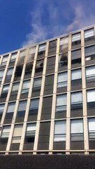 Gato salta de un quinto piso de un edificio en llamas y sorprende a las personas