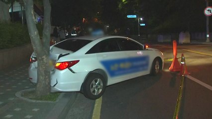 택시기사 흉기 피습...20대 뒷좌석 승객 체포 / YTN