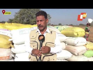 Paddy Procurement - Scenes From Sonepur