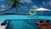 Maldives Island Luxury Resort © Relaxation Poolside