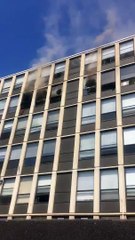 Un gato saltó desde un edificio para escapar de un incendio