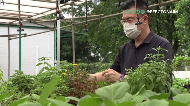 Confinamiento ecológico: así la COVID-19 ha impulsado la sostenibilidad en diversas ciudades