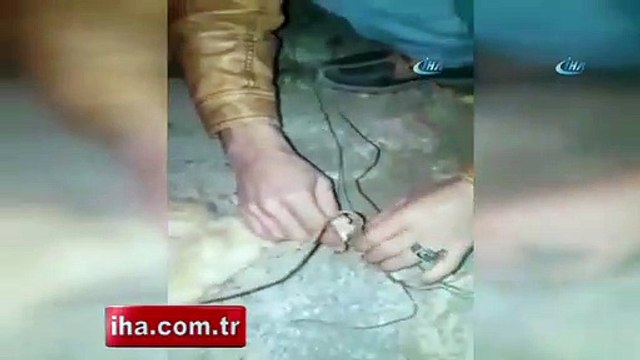 Şırnak'ta kedi kurtarma operasyonu