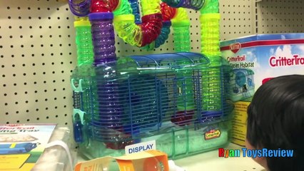 Ryan Toysreview First Pet Buying Hamster From Petsmart