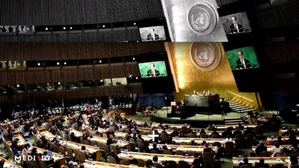 Cheval fou - 14/05/2021