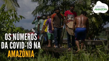 Os números da Covid-19 na Amazônia