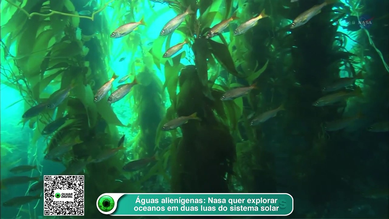 Águas alienígenas- Nasa quer explorar oceanos em duas luas do sistema solar