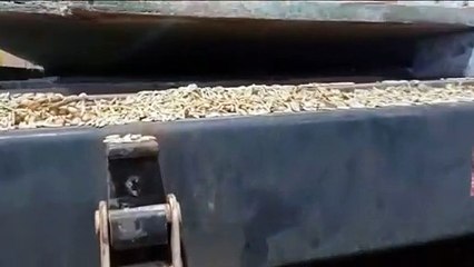 PRF apreende carreta com quase uma tonelada de maconha em Guaíra