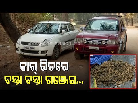 Huge Haul Of Ganja Seized From Expensive Cars In Bolangir
