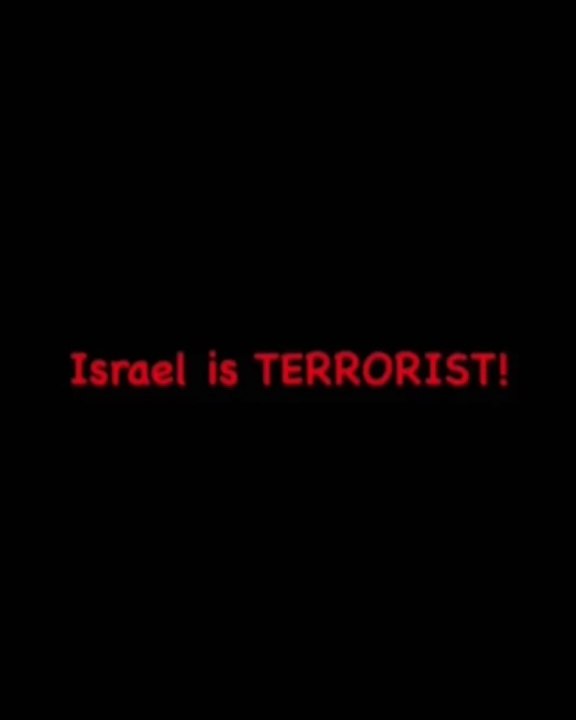 30 second will shows the situation of Palestinians