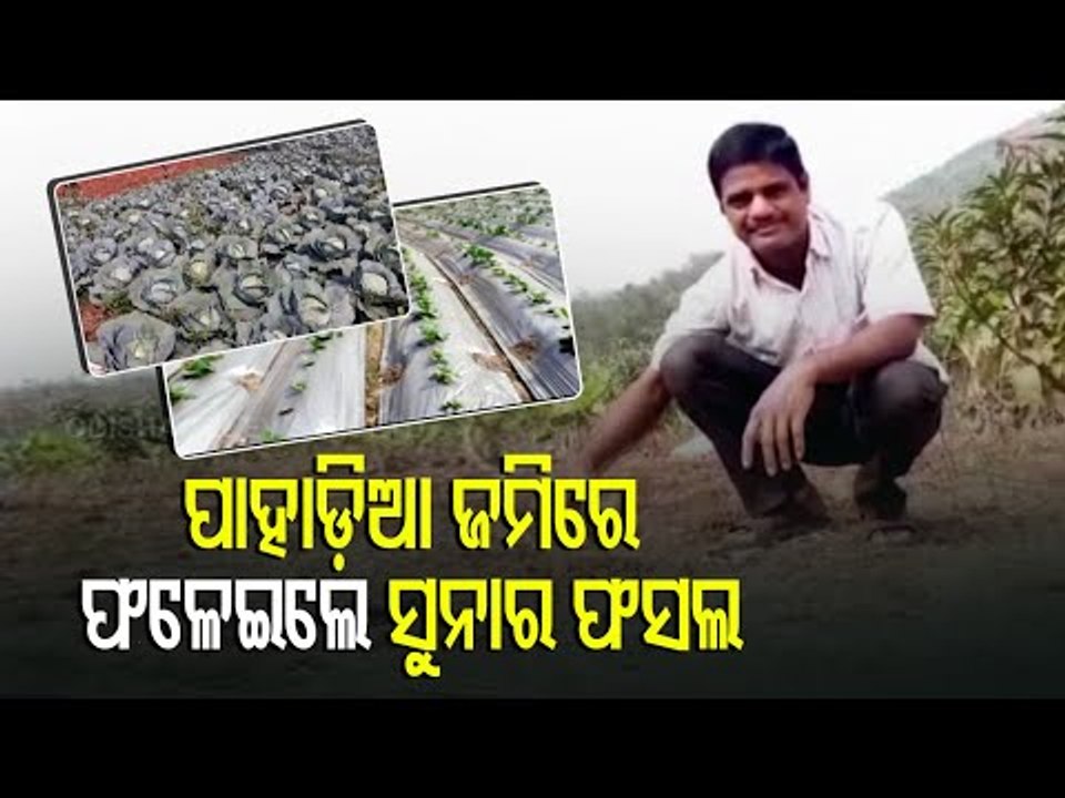 2 Youths From Odisha Creating History At Farming-Watch An OTV Report