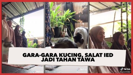 Kucing Berulah, Satu Keluarga Tahan Tawa saat Salat Ied, Videonya Viral
