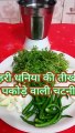 कुछ नया ट्राई करें चटनी में #Shorts #हरी धनिया की तीखी पकोड़े वाली चटनी #Green Chutney Recipe By Safina kitchen