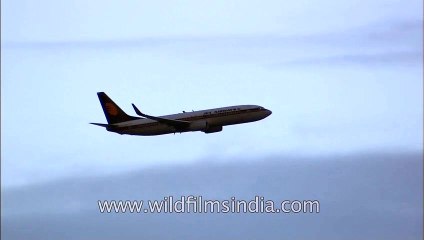 Jet Airways plane flying in Indian airspace