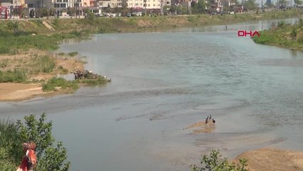 ORDU KARA LEYLEKLER, FATSA'DA GÖRÜLDÜ