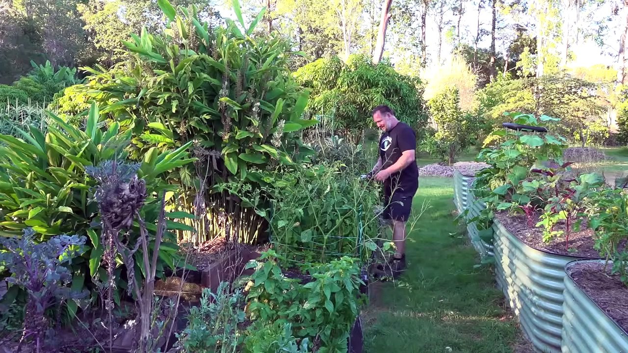 7 Top Vegetables Easy To Grow In A Hot Summer