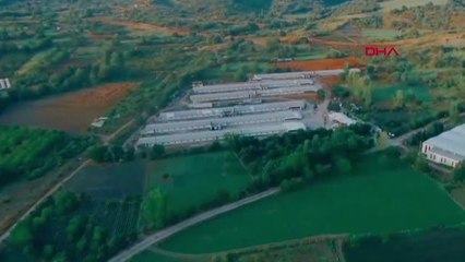 BURSA 'KIRMIZI ELMAS' HASADI BAŞLADI; 4 ÜLKEYE İHRAÇ EDİLECEK