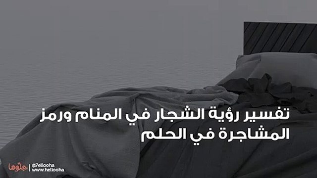 تفسير رؤية الشجار في المنام ورمز المشاجرة في الحلم