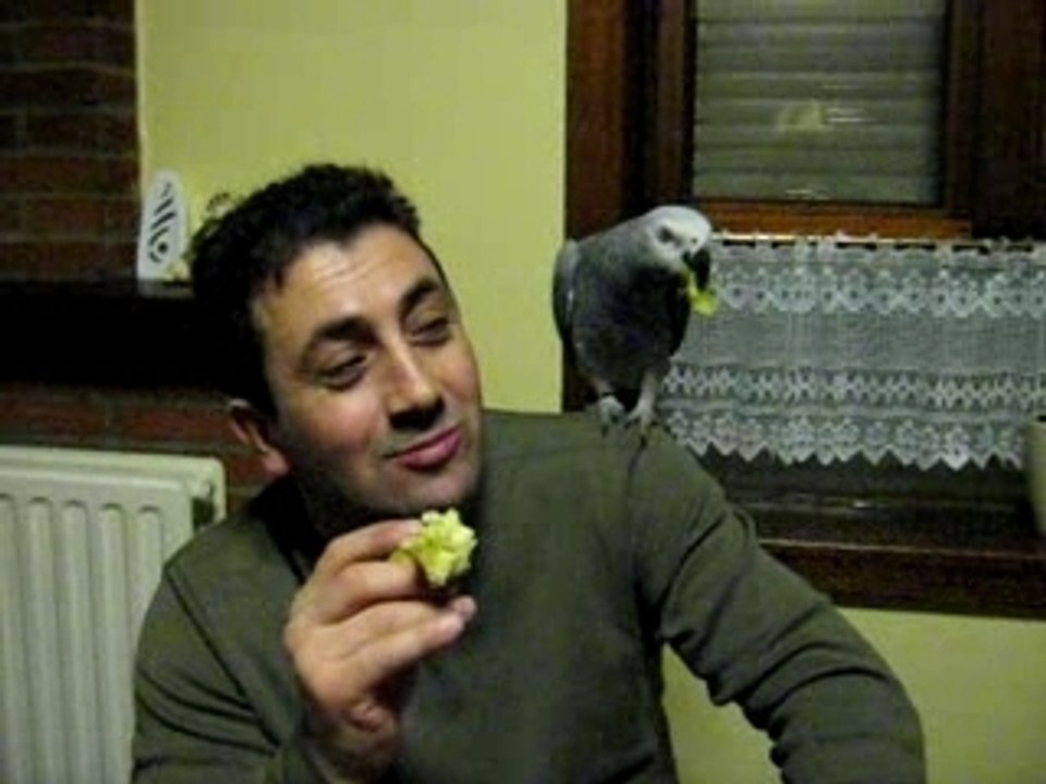 MVI_0561