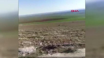 Traktör kazasında ölen 4 kişinin piknikteki son görüntüleri ortaya çıktı