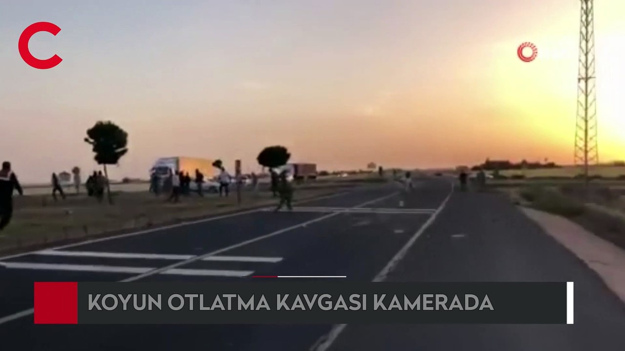 Koyun otlatma kavgasında ortalık savaş alanına döndü
