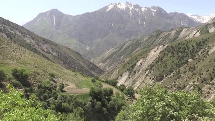 40 yıl sonra köylerine dönen vatandaşlar çifte bayram yaşadı