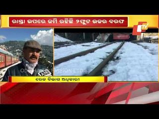 Heavy Snowfall In Himachal Pradesh #WATCH