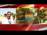 Irregularities In Paddy Procurement At Various Mandis In Nuapada