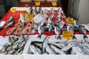 Balık satışları azaldı, fiyatlar düştü