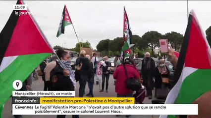Manifestation pro-palestinienne à Montpellier du samedi 15 mai 2021