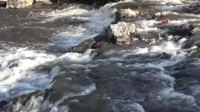 - Göç yolunda oksijensiz kalan balıklar için can suyu takviyesi