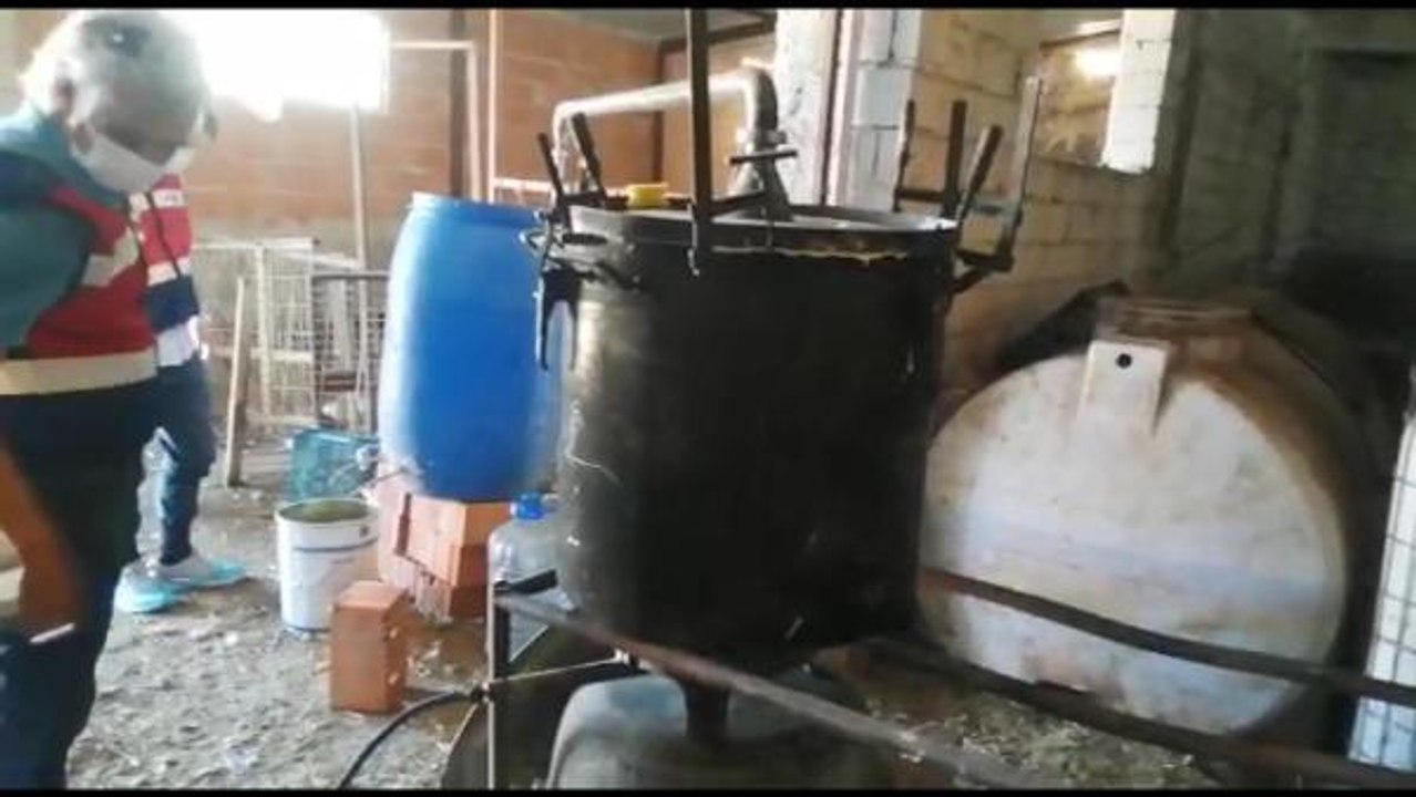 Sahte içki üretip, Hint keneviri yetiştiren şüpheliye gözaltı