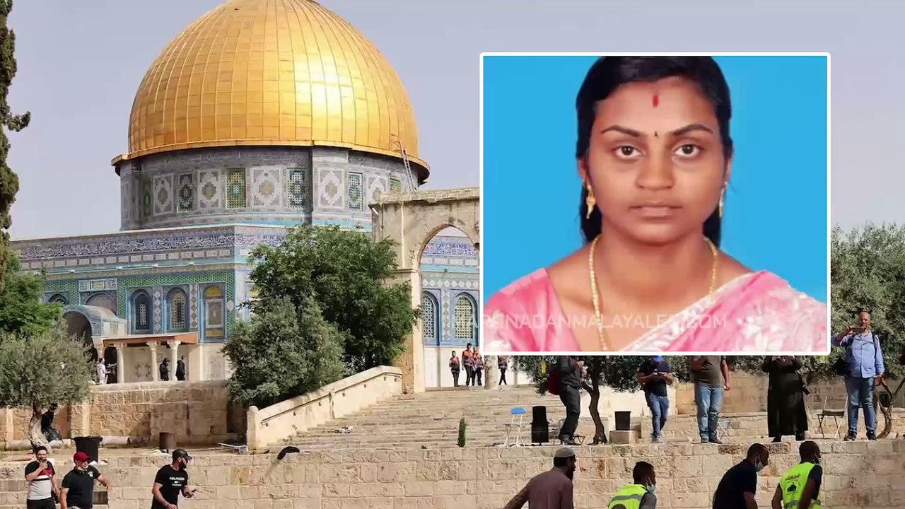 israel defence and palestine