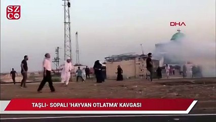 Şanlıurfa’da taşlı-sopalı 'hayvan otlatma' kavgası: 8 yaralı