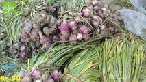 Latest Vegetables Rates | Sabzi Mandi Market Karachi|سبزیوں کے تازہ ریٹس |Business Ideas
