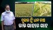 Special Story|Sugar Free Rice Farming For Diabetics- Former IAF Officer TurnsFarmer In Jagatsinghpur
