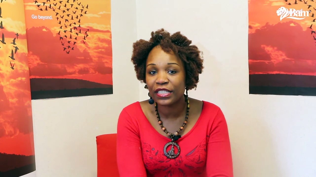 Web Série Diversité Culturelle à Bruxelles 2015