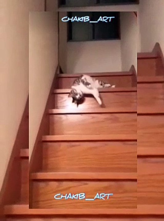 #comedie #humour #france #comedy #rire #com #c