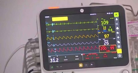 Cuerpo de bebé que habría muerto en parto está desaparecido.