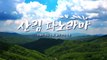 [YTN 특집] 산림 파노라마 / YTN