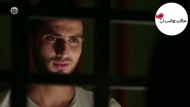 حالات واتس اب ❤️ حسن ولينا - محمد الشرنوبي و هدى المفتي ❤️ قلبي نداك - فارس