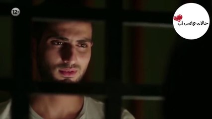 حالات واتس اب ❤️ حسن ولينا - محمد الشرنوبي و هدى المفتي ❤️  قلبي نداك - فارس