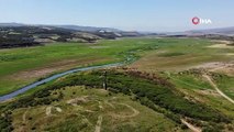 Yıkılmadı, dimdik ayakta! Baraj suları çekilince cami minaresi ortaya çıktı