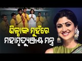 Video Of Shilpa Shetty Chanting Mahamrityunjay Mantra Goes Viral