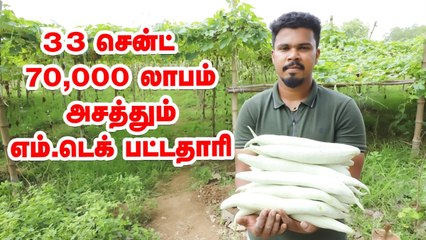 4 ஏக்கர் வருமானம் 33 சென்ட் நிலத்தில்... அசத்தும் பட்டதாரி இளைஞர்! (1)