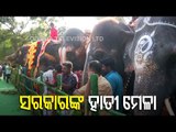 Elephant Rejuvination Camp Organised By Tamil Nadu Govt