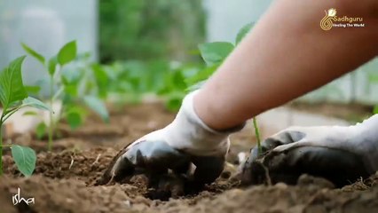 Deepest Meditation to Successful Life - Achieve Anything, Anytime, Anywhere in One Step