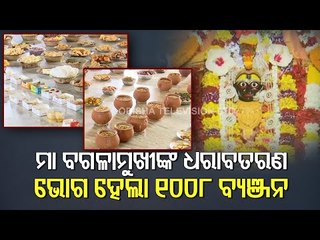 Birthday Of Maa Bagalamukhi-Devotees Serve 1008 Types Of Bhog